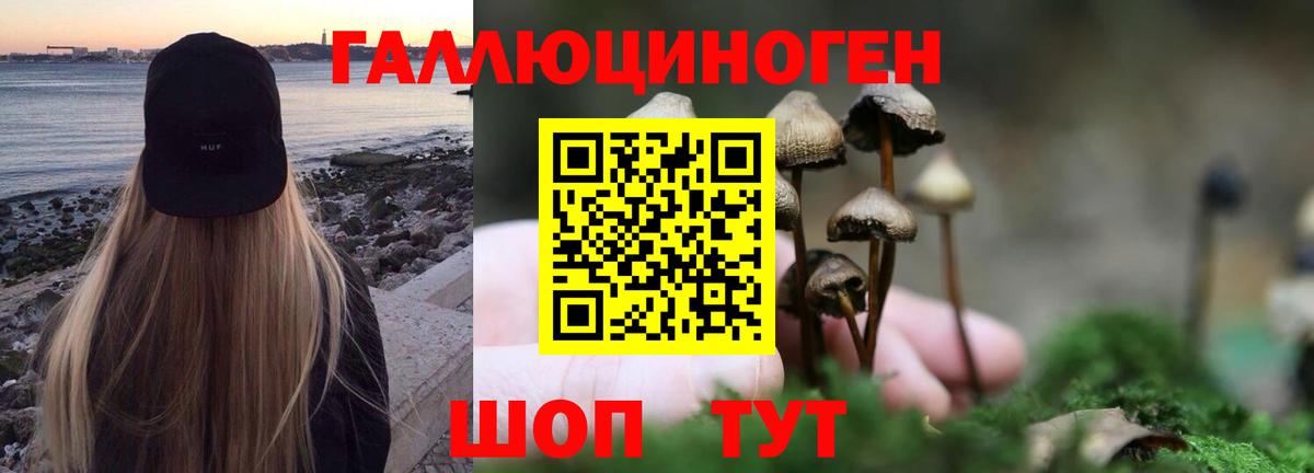 как найти наркотики  Псилоцибиновые грибы прущие грибы  Вход с VPN  Надым 